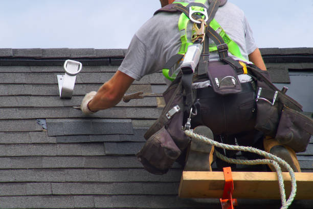 Best Commercial Roofing Services  in Honokaa, HI