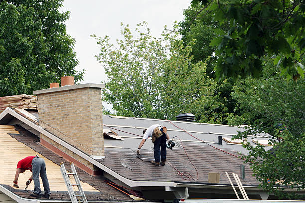 Best Roof Waterproofing Services  in Honokaa, HI