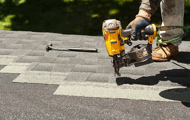 Best Sealant for Roof  in Honokaa, HI