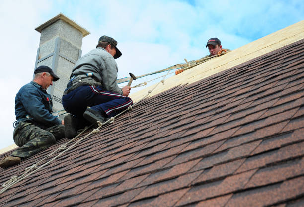 Best Roof Maintenance Services  in Honokaa, HI