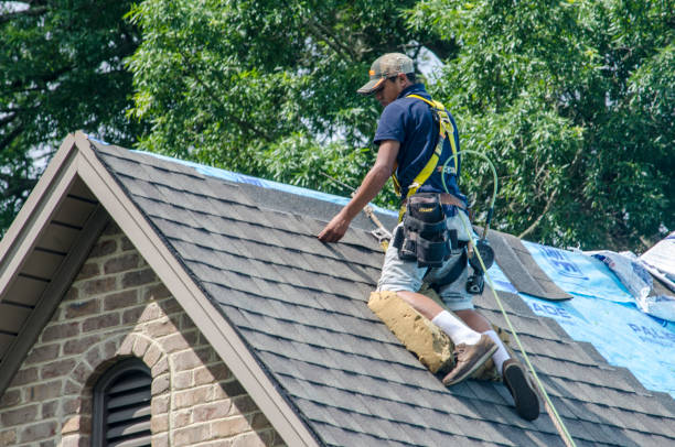 Professional Roofing Contractor in Honokaa, HI